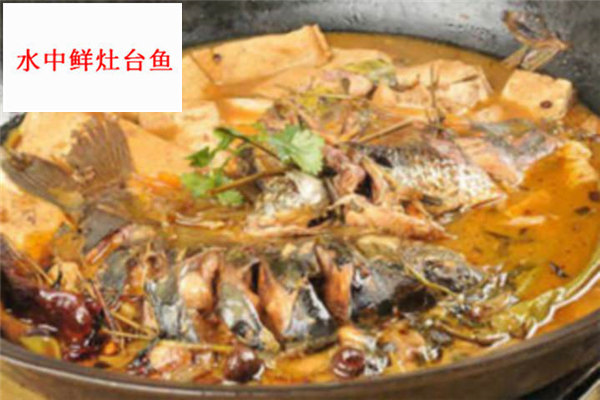 水中鮮灶臺魚