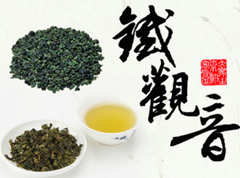 安溪鐵觀音茶葉出廠價格