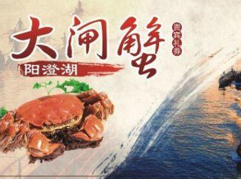 陽澄湖大閘蟹加盟