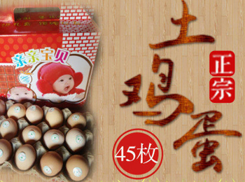 江蘇鹽城雞蛋加盟