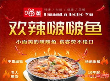 喵董啵啵魚加盟