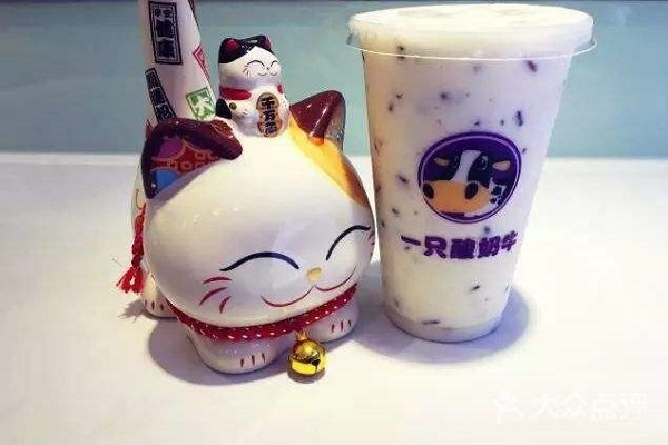一只酸奶牛加盟費好高