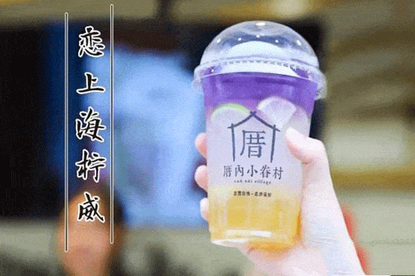 厝內小眷村加盟騙局