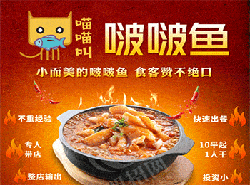 喵喵叫啵啵魚加盟