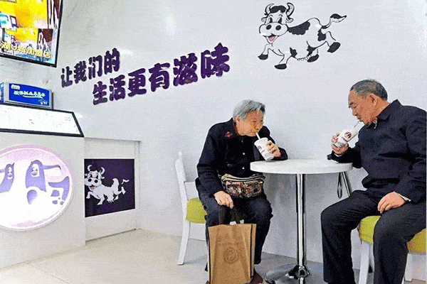 一只酸奶牛加盟費