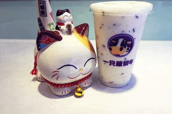 一只酸奶牛加盟費