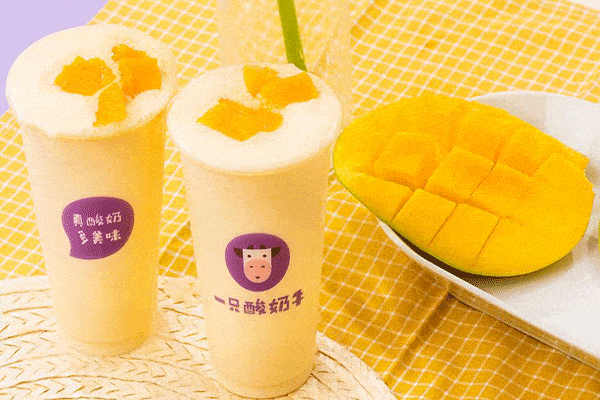 加盟一只酸奶牛掙錢嗎