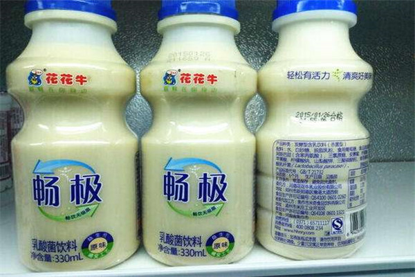 花花牛酸奶加盟能掙錢(qián)嗎