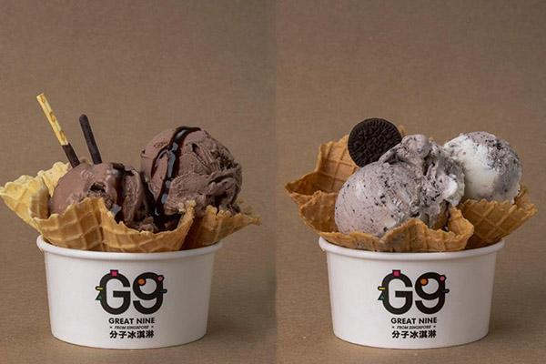 g9分子冰淇淋加盟費(fèi)多少錢