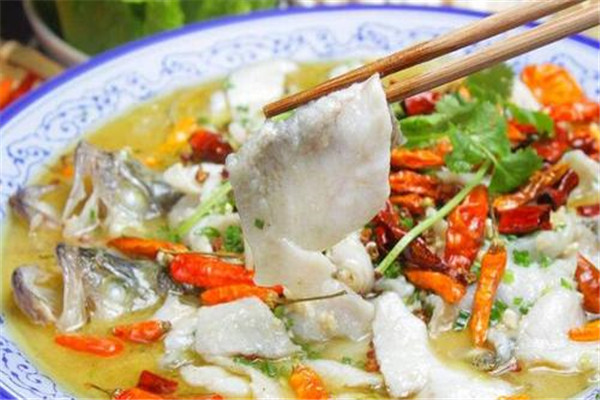 喵想吃酸菜魚實體店加盟投資多少