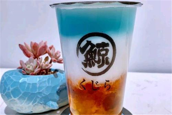 琉璃鯨加盟費26萬