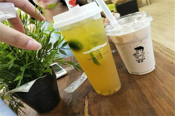 有去呔茶總部的嗎