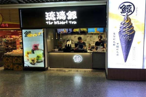 琉璃鯨全國有幾家