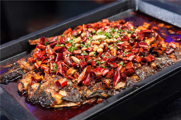 老板戀上魚(yú)總部