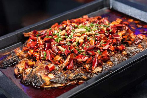老板戀上魚總部在什么地方