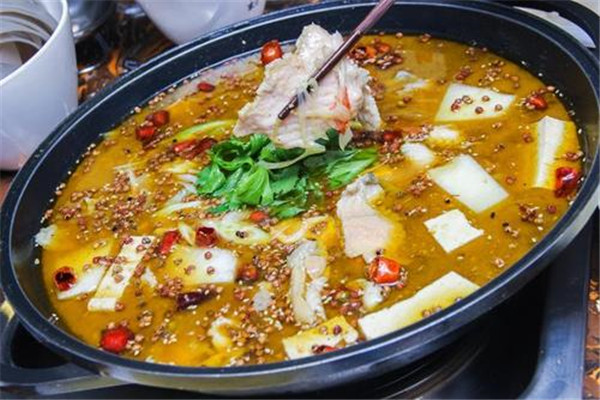 順水魚館加盟6萬可以嗎