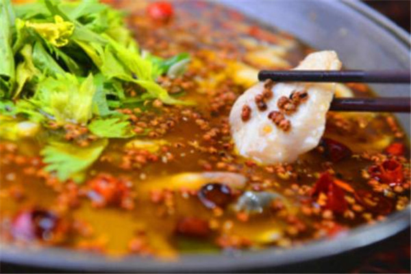 順水魚館加盟6萬可以嗎