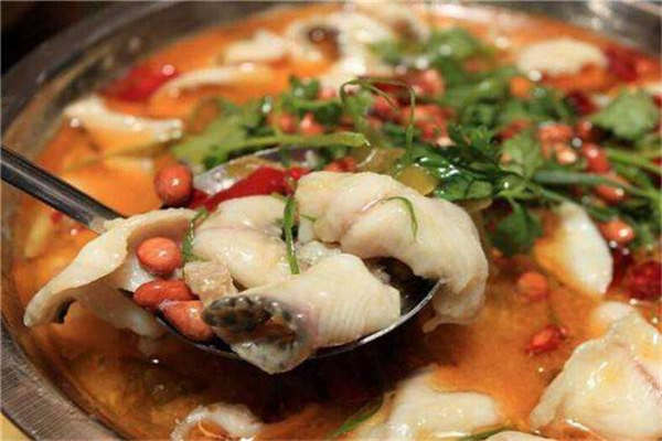石小魚啵啵魚