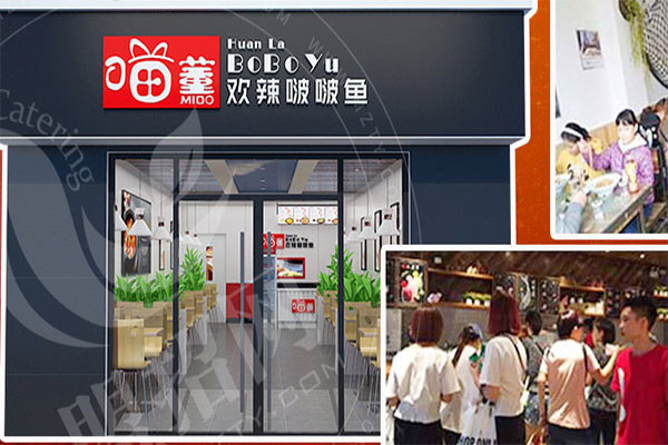 喵董啵啵魚生意怎么樣