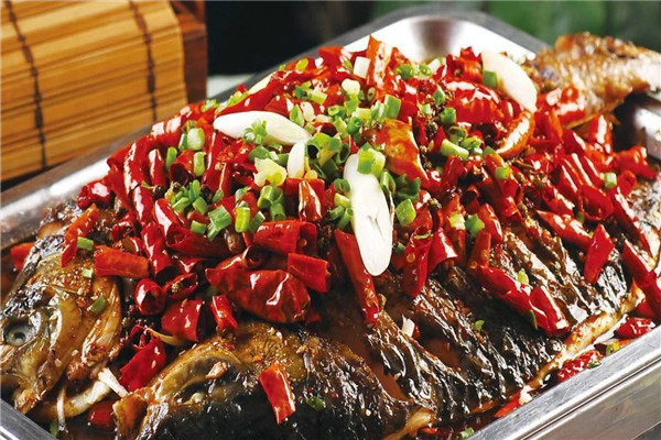 探魚加盟店要多少錢