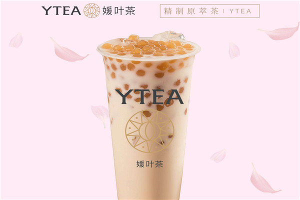 媛葉茶騙局是真的嗎