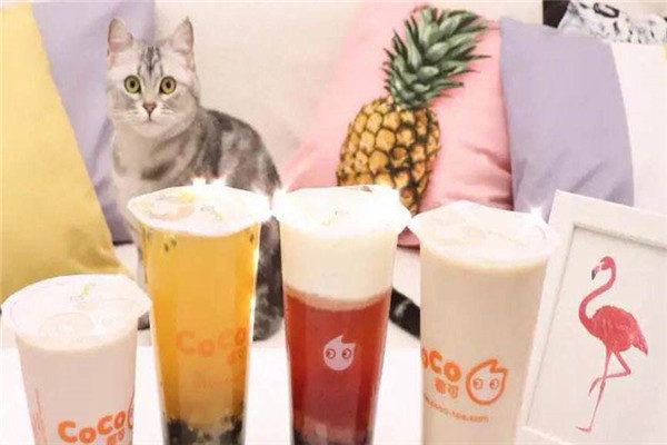 開個都可奶茶店得多少錢