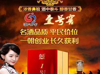 瀘州老窖壹號窖代理