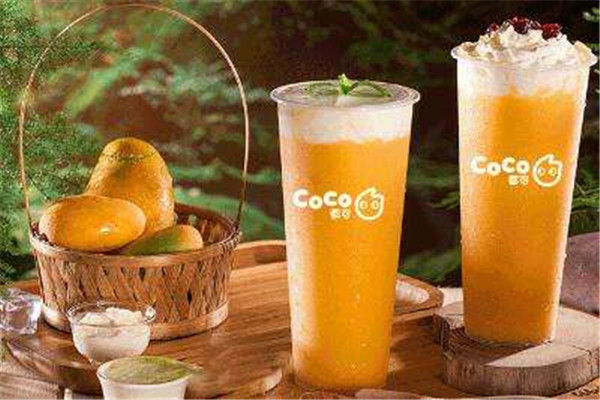 石家莊coco奶茶加盟店費多少