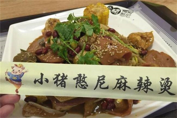 小豬憨尼加盟費(fèi)多少錢