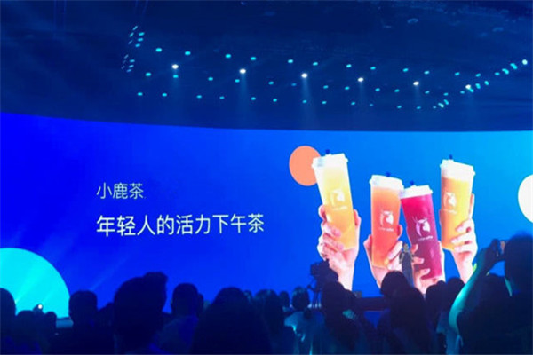 小鹿茶是去北京考察嗎