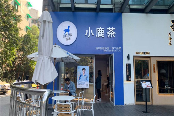 小鹿茶賺錢么