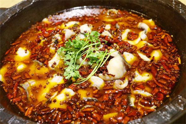 魚留唇加盟點評