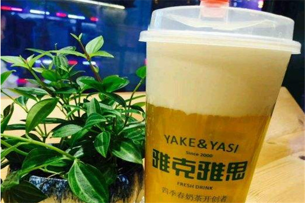 雅克雅思總部在哪里