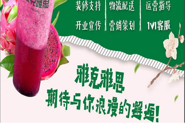 雅克雅思加盟費多少