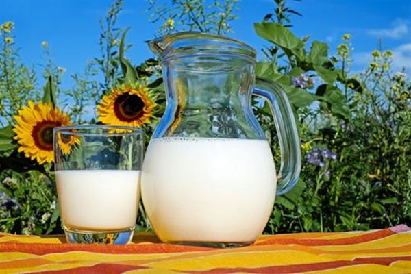 天友乳業(yè)怎么樣