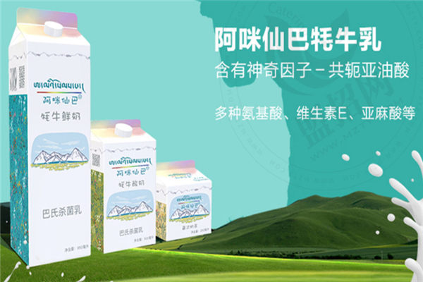 阿咪仙巴牦牛鮮奶加盟
