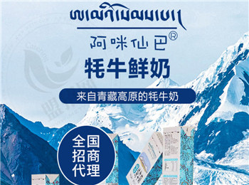 阿咪仙巴牦牛鮮奶加盟