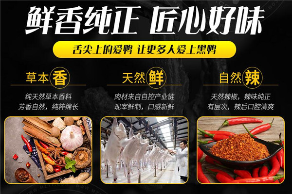 愛鴨黑鴨王加盟