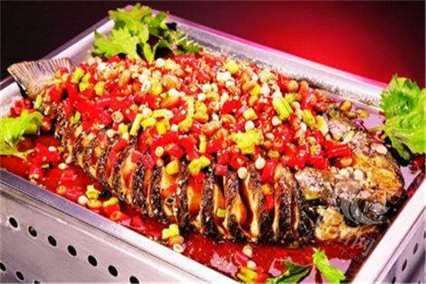 探魚加盟怎么樣