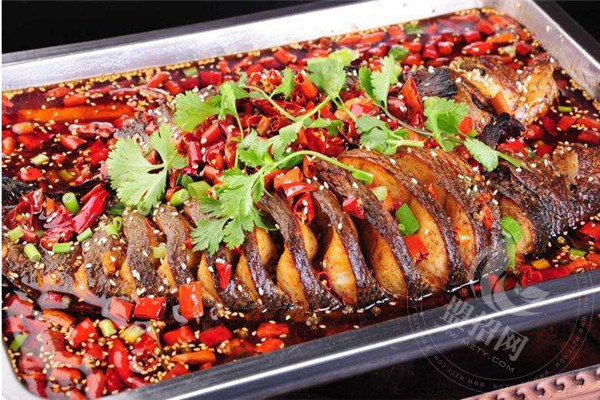 探魚(yú)加盟費(fèi)能退嗎