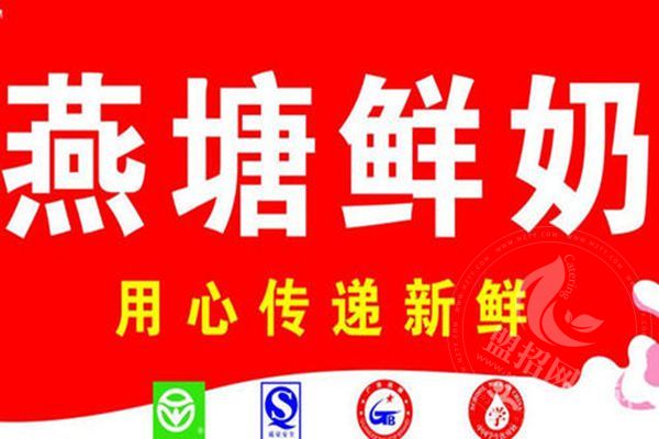 燕塘牛奶店能不能賺錢