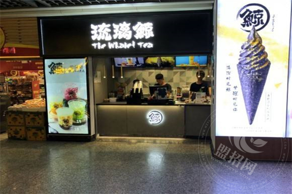 加盟琉璃鯨