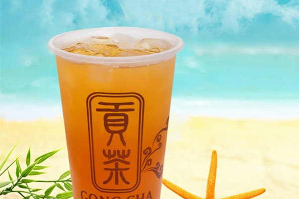 名貢貢茶加盟費多少錢