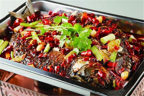 探魚全國有多少家