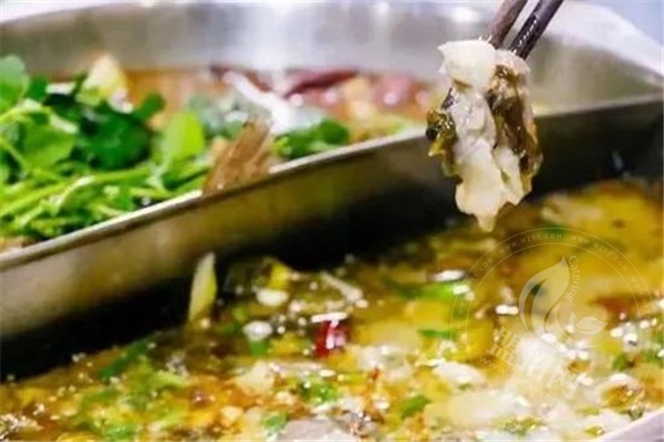 饞貓烤魚總部