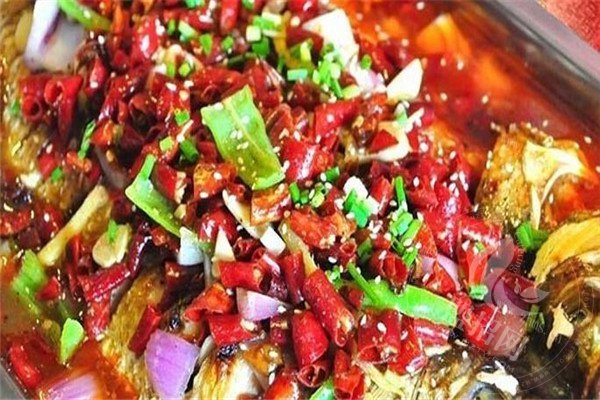 藏式秘汁烤魚公司在哪里
