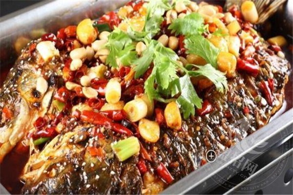 半山妖烤魚總部在哪里