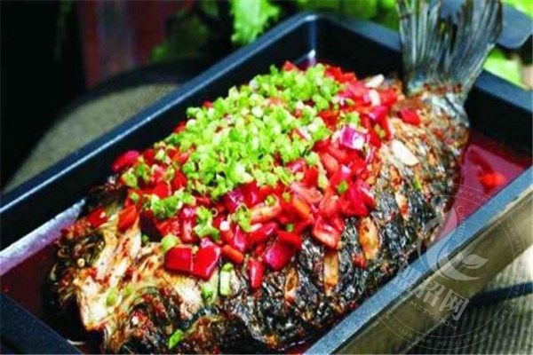 村夫烤魚店真的假的