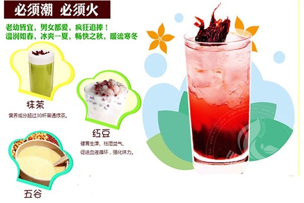 咖啡熊奶茶店加盟費是多少