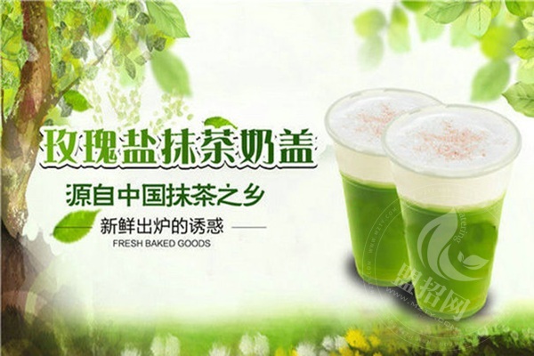 怎么加盟咖啡熊奶茶店
